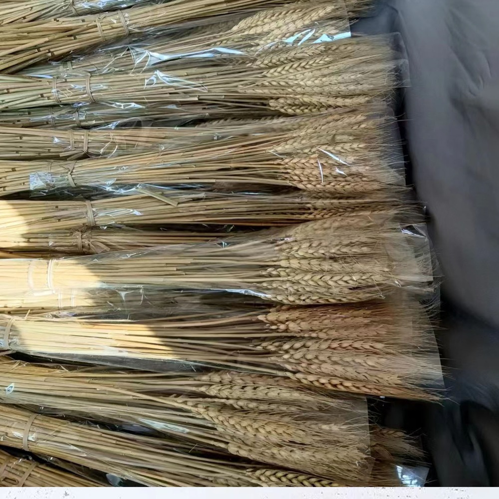 50pcs Artificial Flower Natura - Dried Flower Bulk のレビューと価格