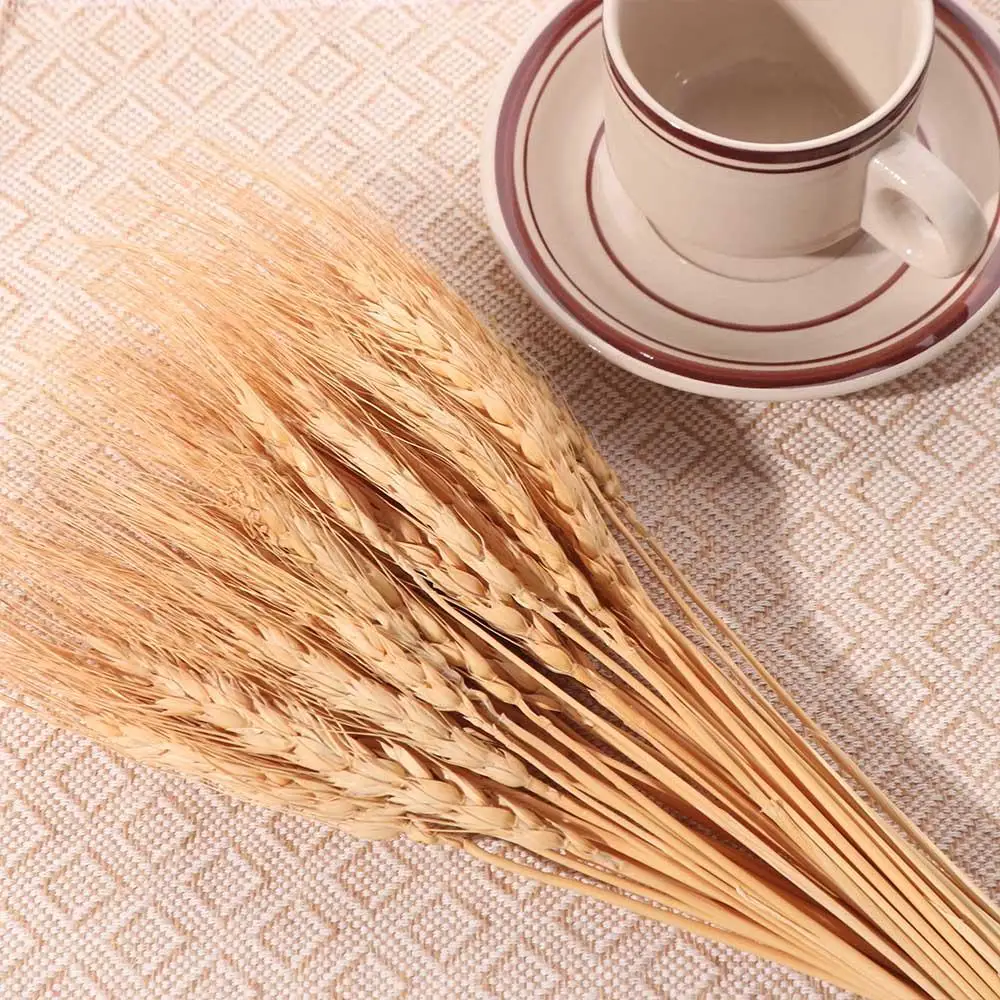 50pcs Artificial Flower Natura - Dried Flower Bulk のレビューと価格