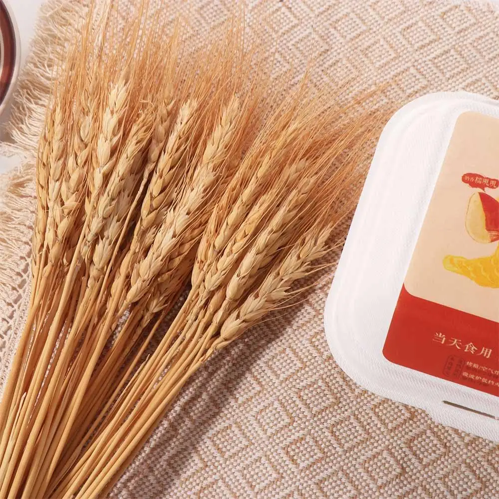50pcs Artificial Flower Natura - Dried Flower Bulk のレビューと価格