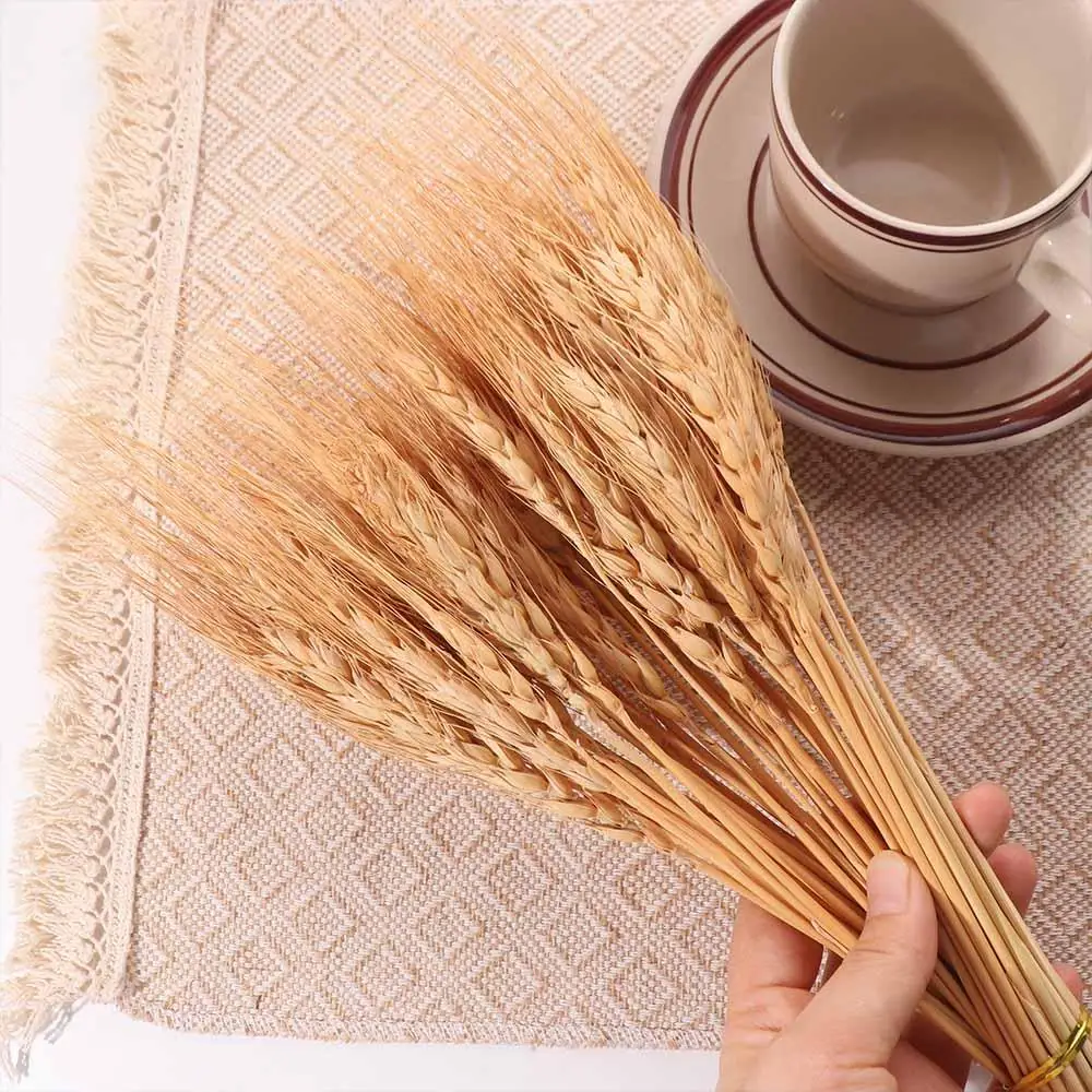 50pcs Artificial Flower Natura - Dried Flower Bulk のレビューと価格
