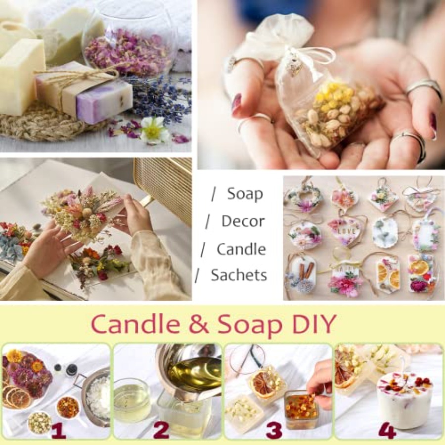 Latest] Pack Dried Flowers for - Dried Flower Bulk のレビューと価格