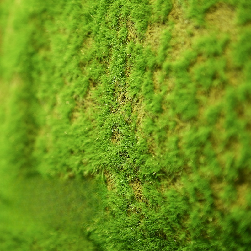 Artificial Turf Moss Grassland - Terrarium Moss Art のレビューと価格