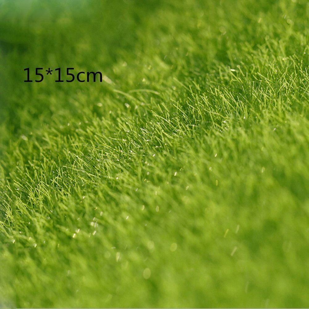 Ecological Lawn Decor Garden O - Terrarium Moss Art のレビューと価格