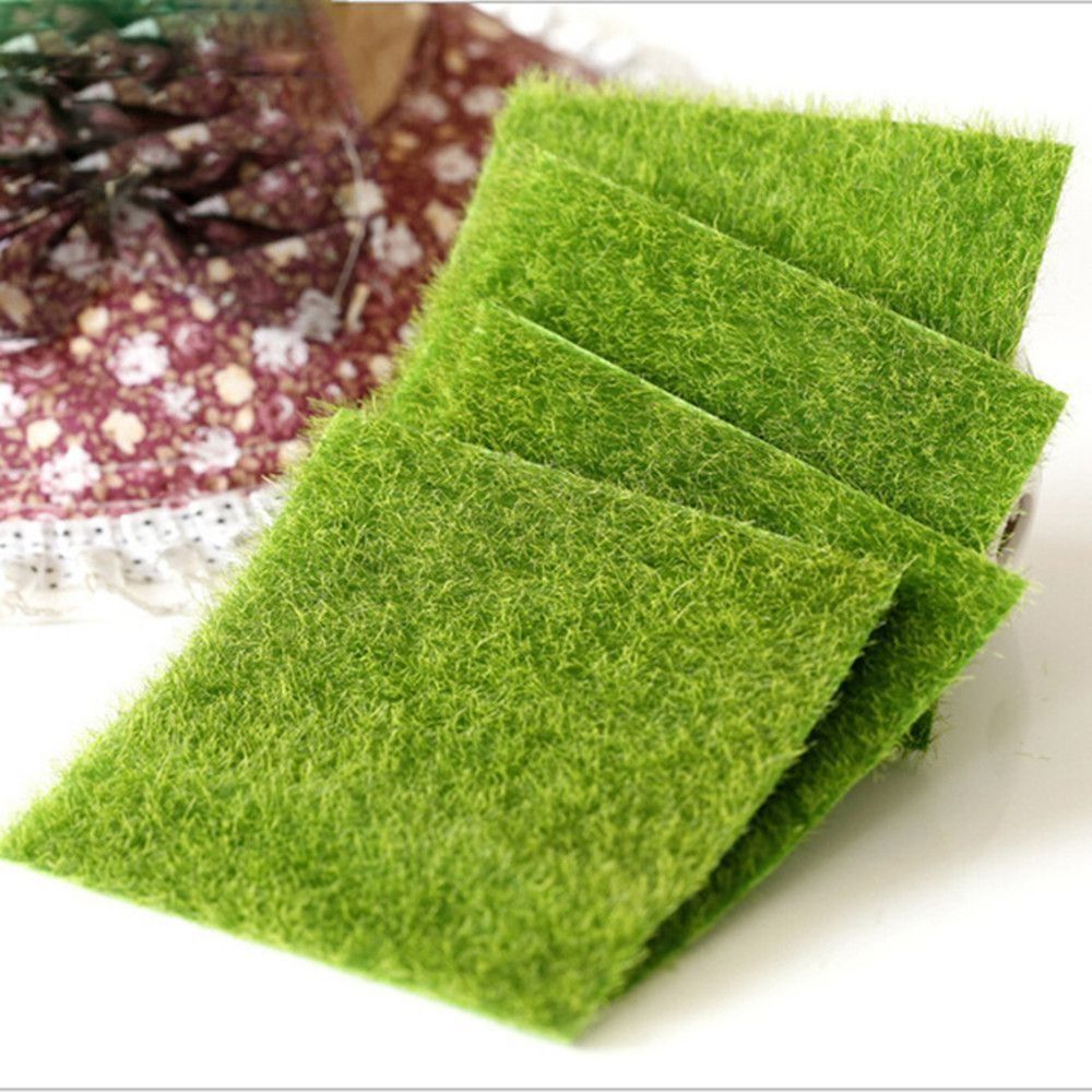 Ecological Lawn Decor Garden O - Terrarium Moss Art のレビューと価格