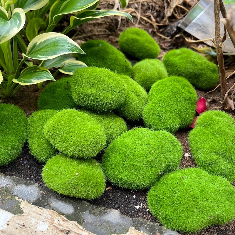 5/30pcs Simulation Moss Stone  - Terrarium Moss Art のレビューと価格