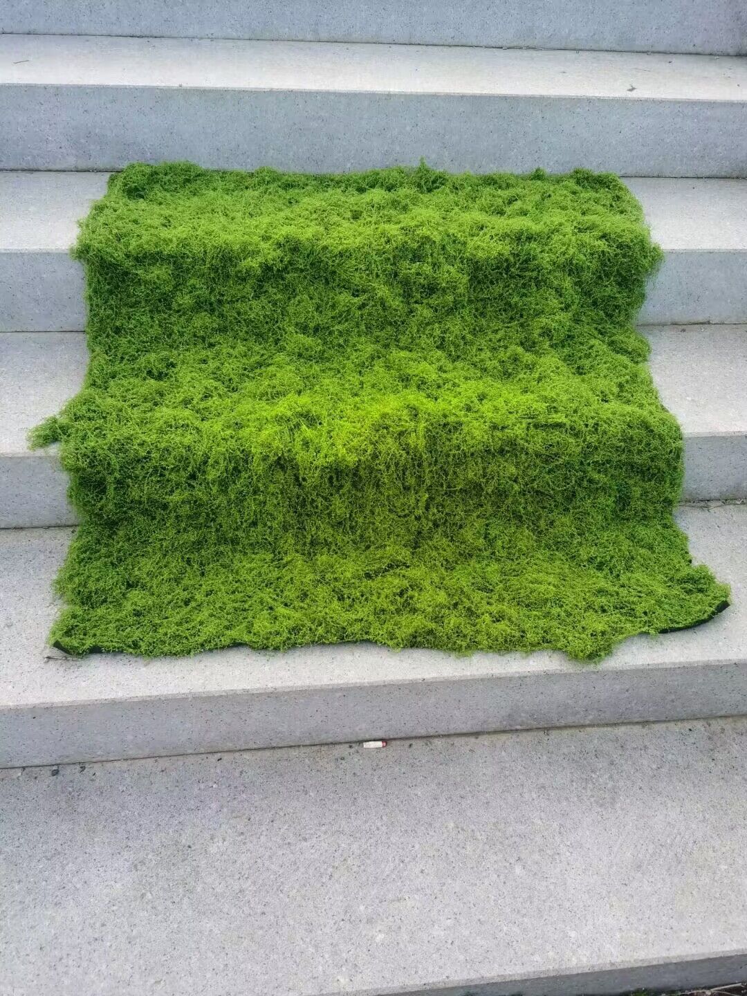Aqumotic Artificial Turf Simul - Terrarium Moss Art のレビューと価格
