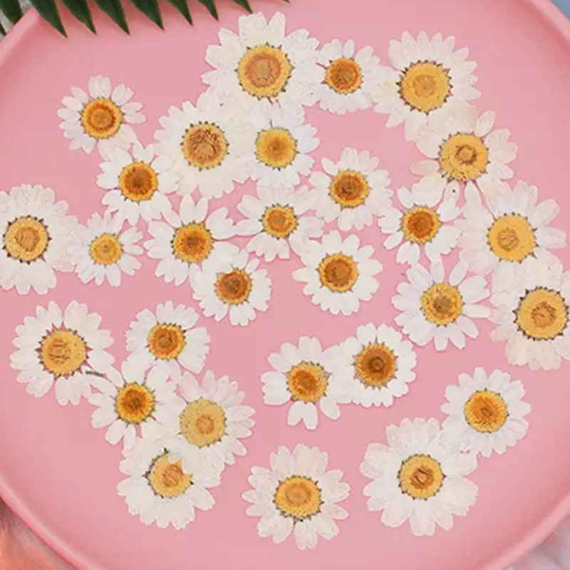 100Pcs Natural White Crystal C - Resin Craft Ideas のレビューと価格