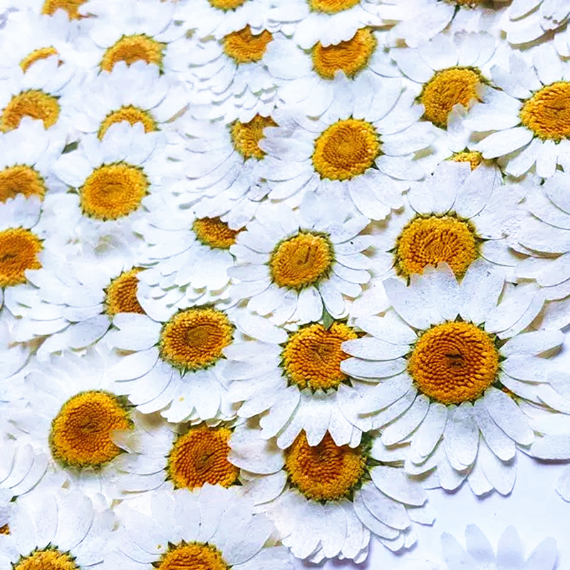 100Pcs Natural White Crystal C - Resin Craft Ideas のレビューと価格
