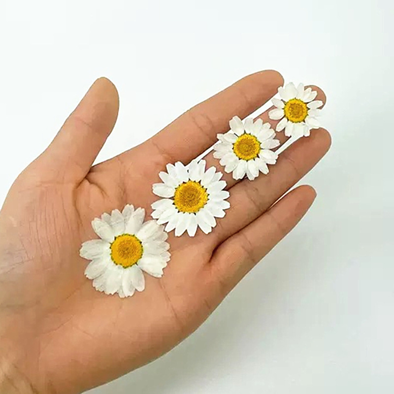 100Pcs Natural White Crystal C - Resin Craft Ideas のレビューと価格