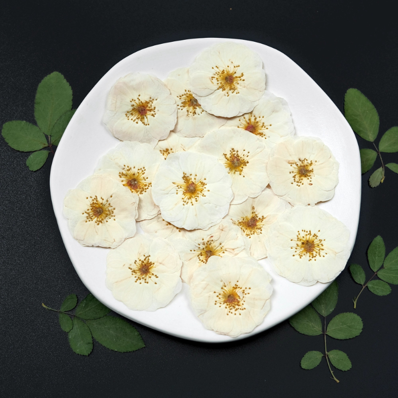6pcs,9pcs,Nature White Rose Pr - Resin Craft Ideas のレビューと価格