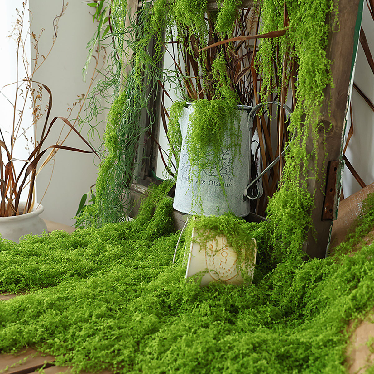 about 20g Artificial Green Pla - Terrarium Moss Art のレビューと価格