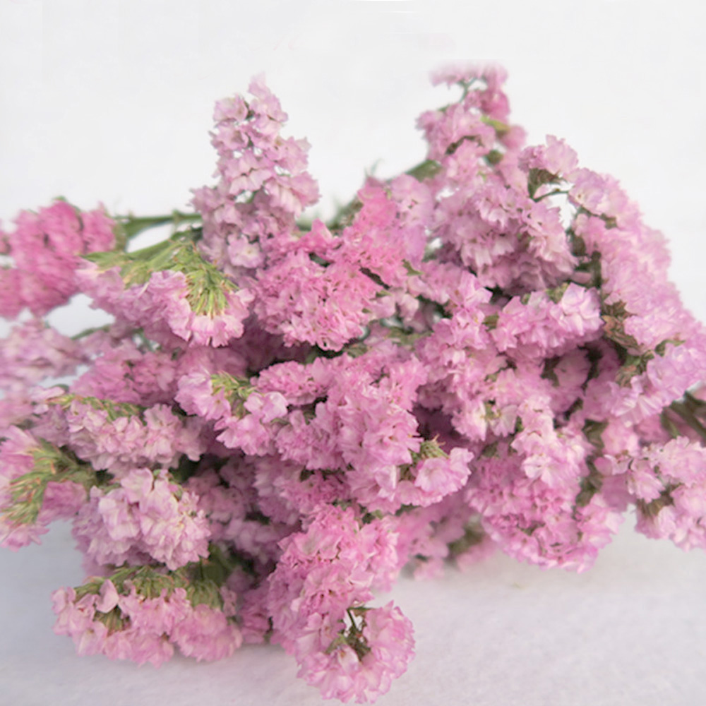 Pink color dried natural flowe - Dried Flower Bulk のレビューと価格
