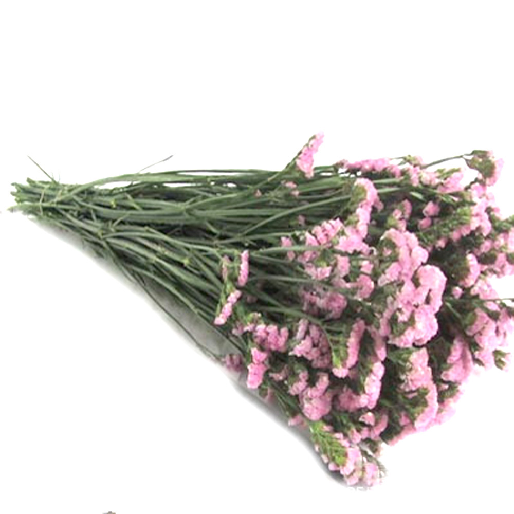 Pink color dried natural flowe - Dried Flower Bulk のレビューと価格
