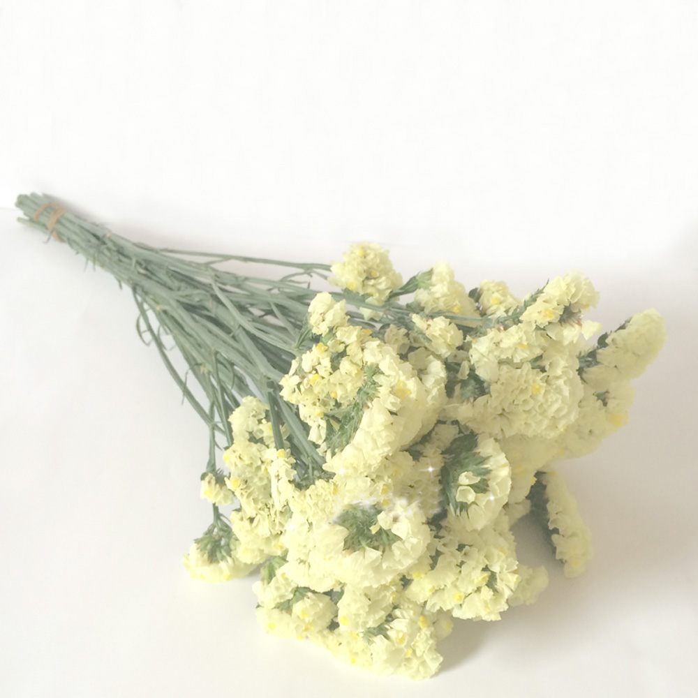 Pink color dried natural flowe - Dried Flower Bulk のレビューと価格