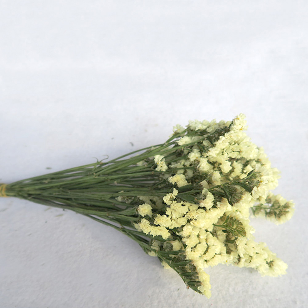 Pink color dried natural flowe - Dried Flower Bulk のレビューと価格