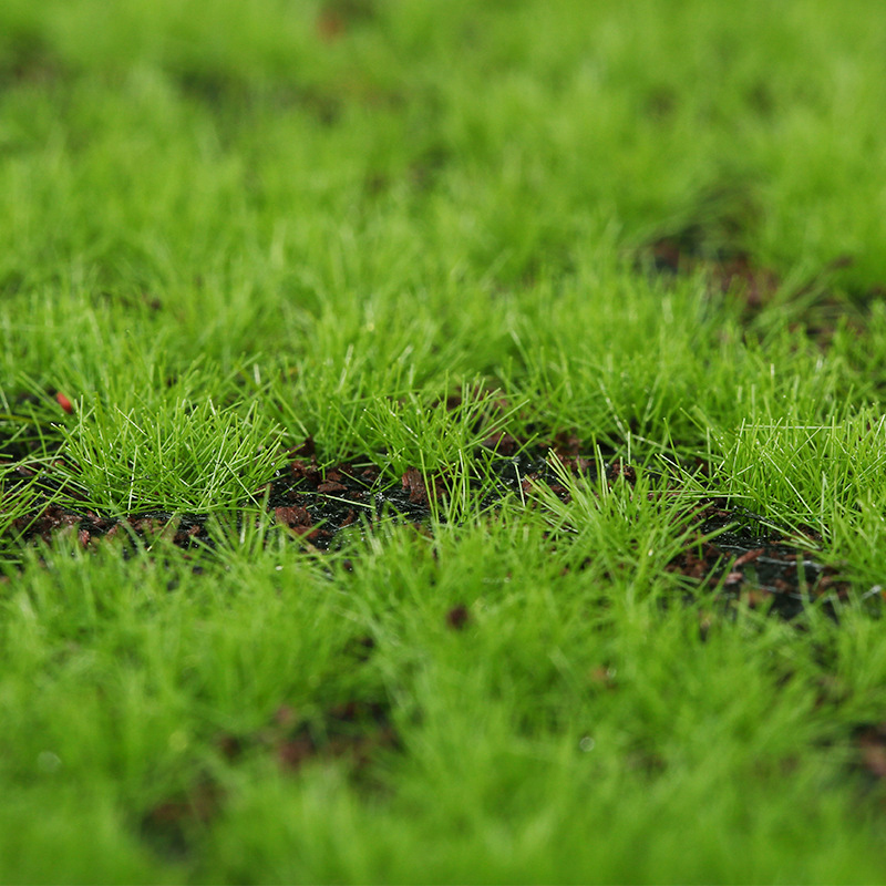 Artificial Moss Fake Green Mos - Terrarium Moss Art のレビューと価格