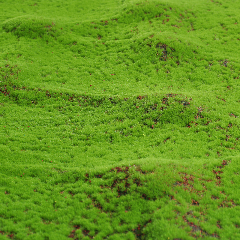 Artificial Moss Fake Green Mos - Terrarium Moss Art のレビューと価格