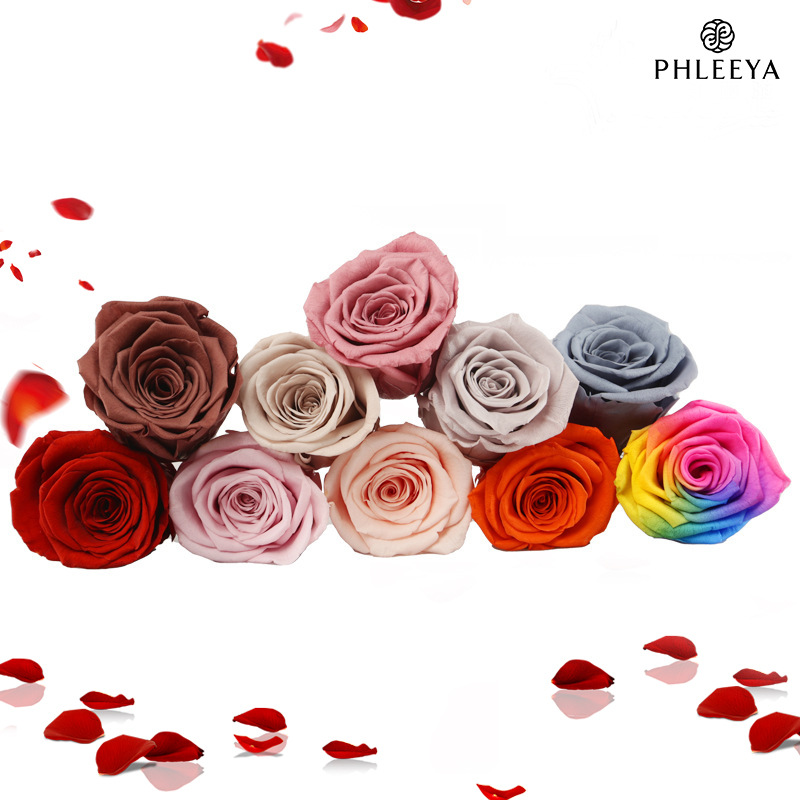 6pcs Eternal Rose Flower Heads - Dried Flower Bulk のレビューと価格