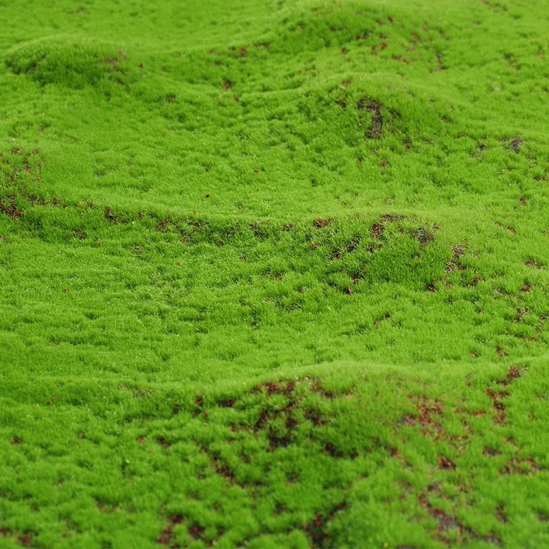 50X50cm Artificial Grass Rug F - Terrarium Moss Art のレビューと価格
