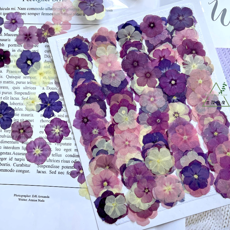 12pcs,Semi-Transparent Niche P - Resin Craft Ideas のレビューと価格