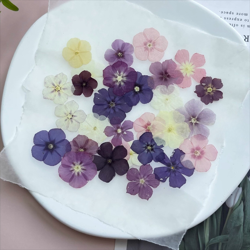 12pcs,Semi-Transparent Niche P - Resin Craft Ideas のレビューと価格