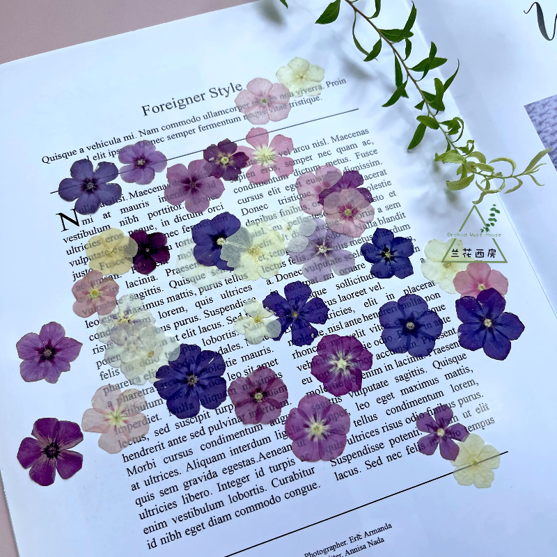 12pcs,Semi-Transparent Niche P - Resin Craft Ideas のレビューと価格