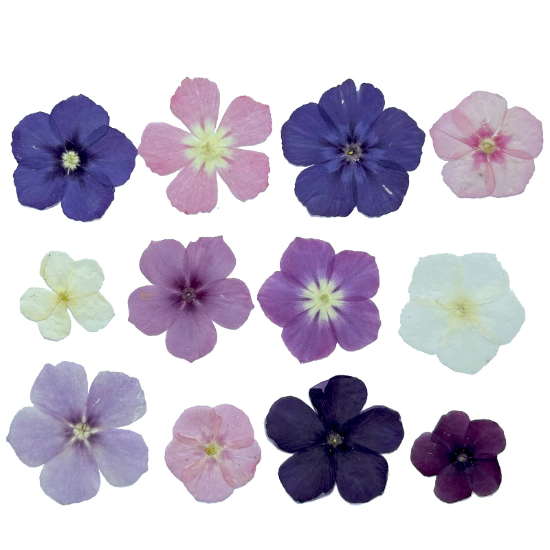 12pcs,Semi-Transparent Niche P - Resin Craft Ideas のレビューと価格